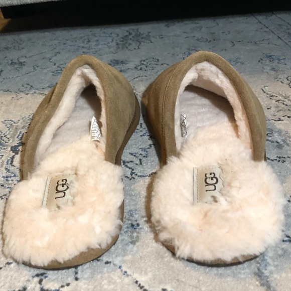 UGG Scuff Slipper Chestnut - Picture 10 of 12